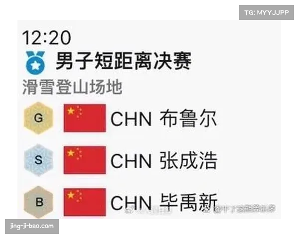 中国自由式滑雪空中技巧队 动作完成度与稳定性分析